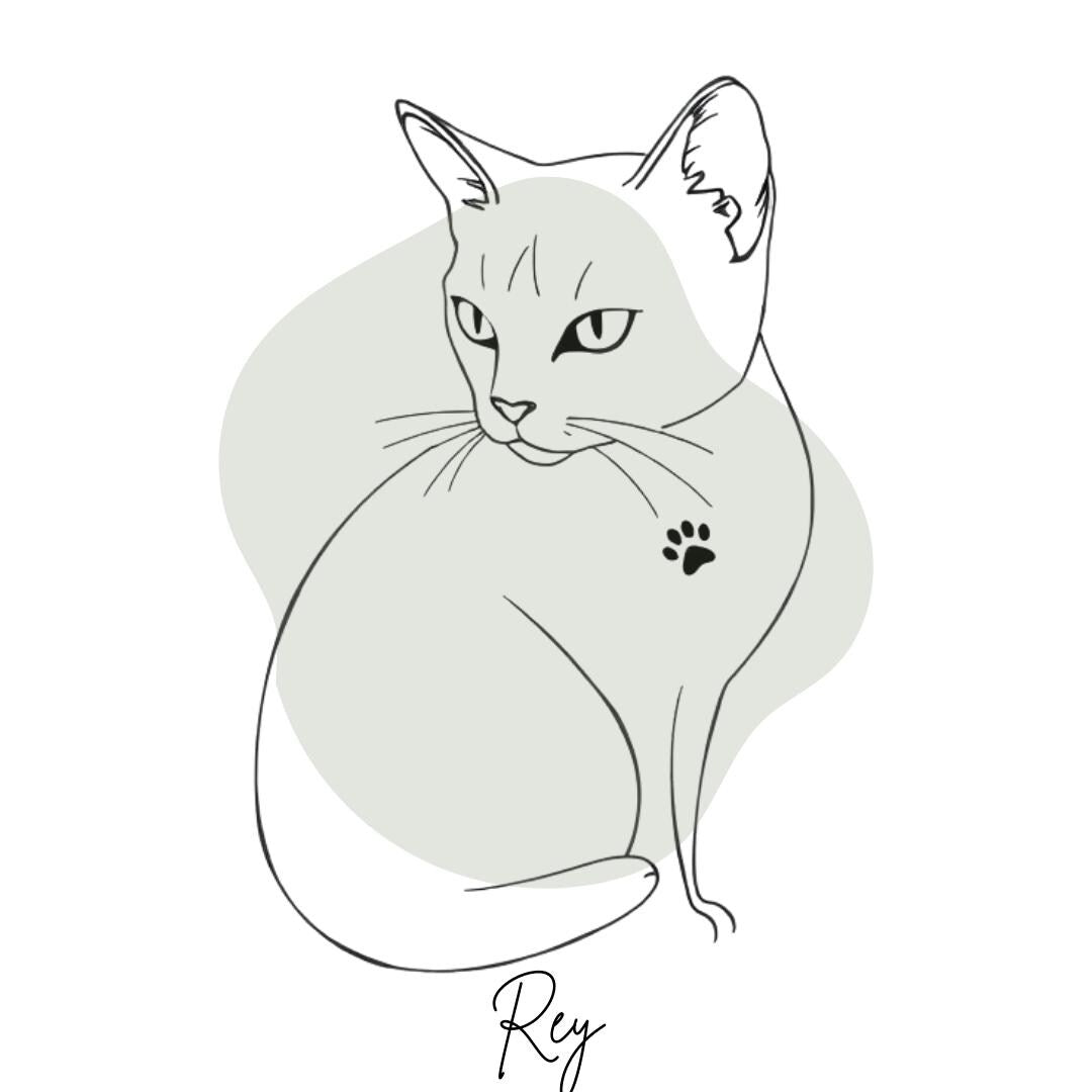 Custom Pet Line Art Portrait: Minimalist Pet Memorial (Digital Download)