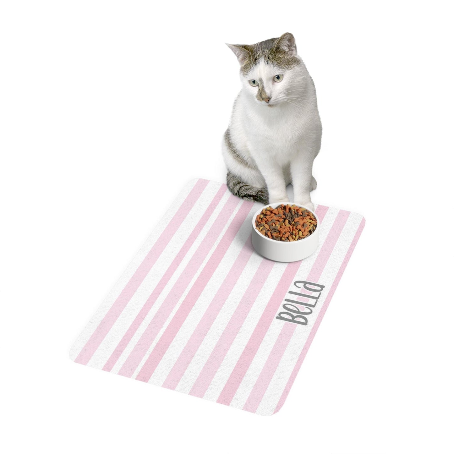 Personalized Dog Food Mat